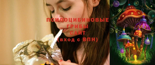 спайс Богданович